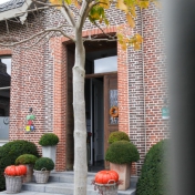 Blog