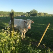 Wandel- en fietsroutes
